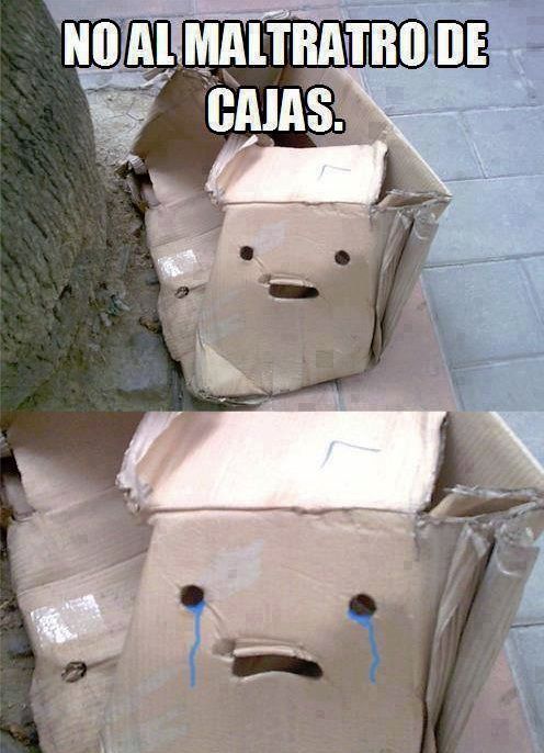 No al maltrato