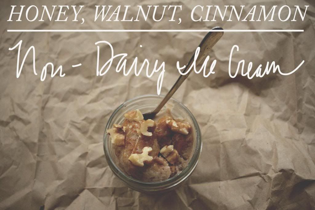 We Live Upstairs blog Honey Walnut Cinnamon Non-Dairy Ice Cream Recipe