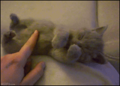 Moving-animated-picture-of-tired-kitty-cat_large_zps7f7f8608.gif