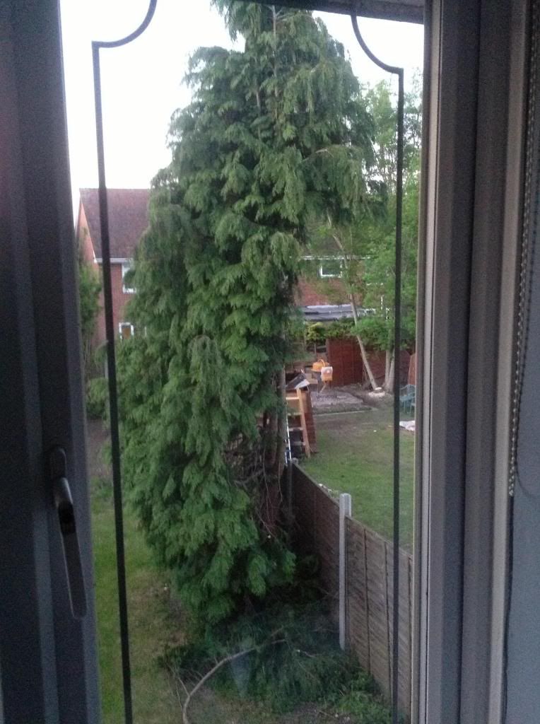 image_zpse05bd9b0.jpg