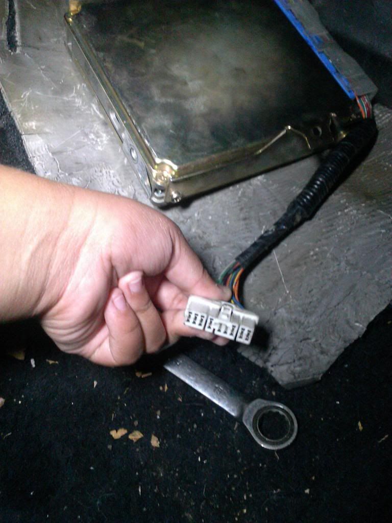 Ka24E Wiring Harness : Megasquirt Install For Ka24 Motors S Chassis Com