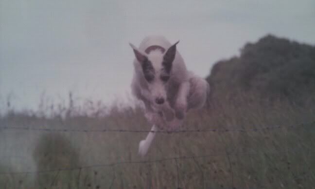 0D380535-A515-42D0-999A-0E88CD74B6AC-810