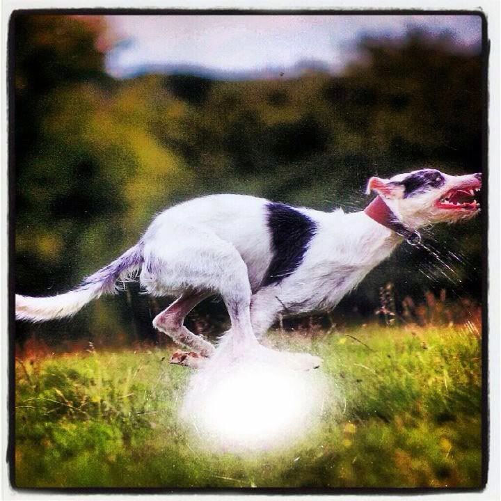 674C4FCA-DBB6-406B-B484-4DBC704CF3B5-810