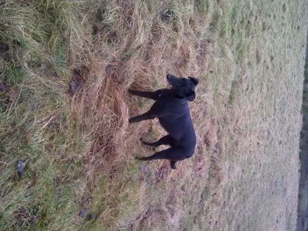 9DF14037-D9D2-4BD6-9BB5-520EC541DBE8-810