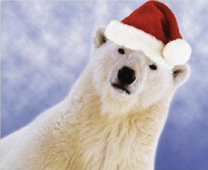 PolarBear_zps7cfe3583.png