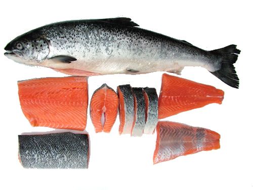 Bán cá hồi Nauy tươi nguyên con nhập khẩu giá 300.000đ/kg