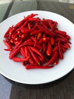 redchilis_zps3300a9f6.jpg