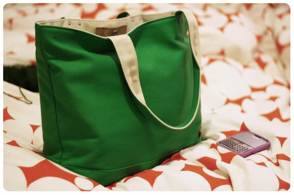 Pack a tote bag for cruise excursions