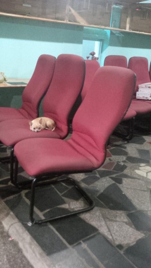 HCM Q3 thanh lý ghế 150K/CÁI - 1