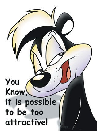 pepe-le-pew-warner-brothers-animation-30976076-316-425_zps36f8f89c.jpg