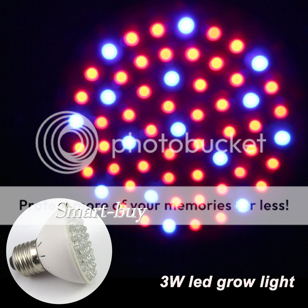  3W/4.5W E27 Red/Blue 38/60/80LEDS Hydroponic LED Plant Grow Light Home